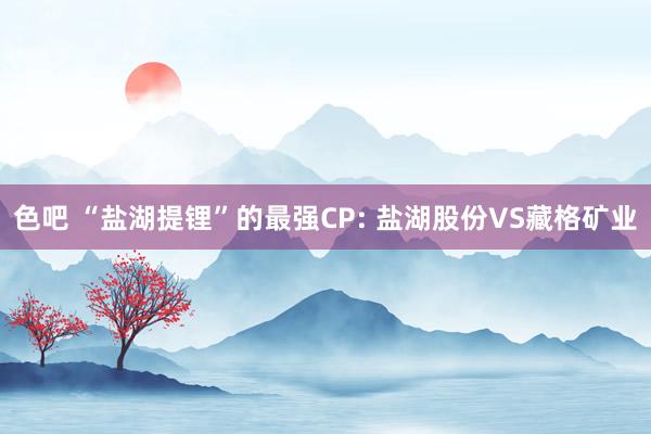 色吧 “盐湖提锂”的最强CP: 盐湖股份VS藏格矿业