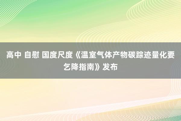 高中 自慰 国度尺度《温室气体产物碳踪迹量化要乞降指南》发布