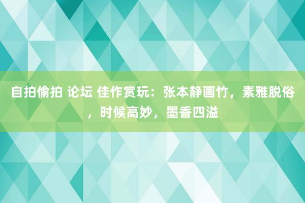 自拍偷拍 论坛 佳作赏玩：张本静画竹，素雅脱俗，时候高妙，墨香四溢