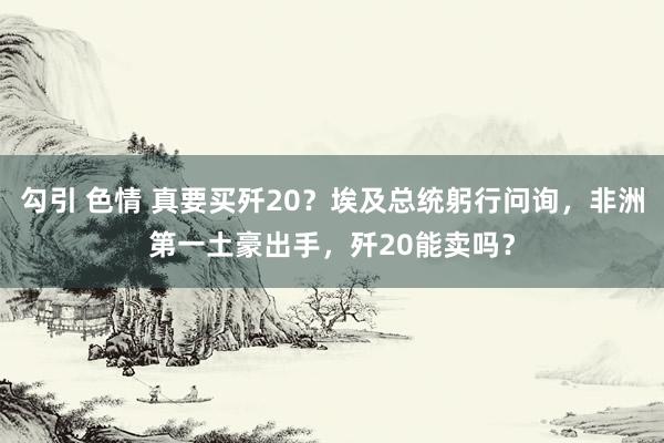 勾引 色情 真要买歼20？埃及总统躬行问询，非洲第一土豪出手，歼20能卖吗？