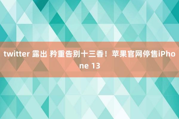 twitter 露出 矜重告别十三香！苹果官网停售iPhone 13