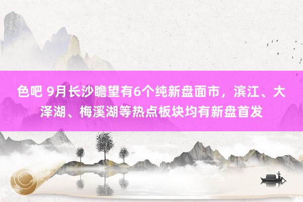 色吧 9月长沙瞻望有6个纯新盘面市，滨江、大泽湖、梅溪湖等热点板块均有新盘首发