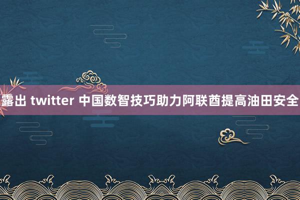 露出 twitter 中国数智技巧助力阿联酋提高油田安全