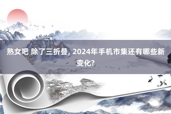 熟女吧 除了三折叠， 2024年手机市集还有哪些新变化?