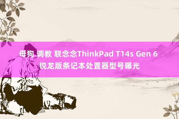 母狗 调教 联念念ThinkPad T14s Gen 6 锐龙版条记本处置器型号曝光