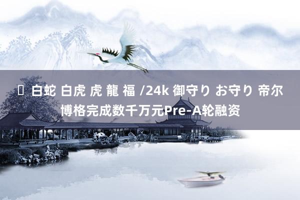 ✨白蛇 白虎 虎 龍 福 /24k 御守り お守り 帝尔博格完成数千万元Pre-A轮融资