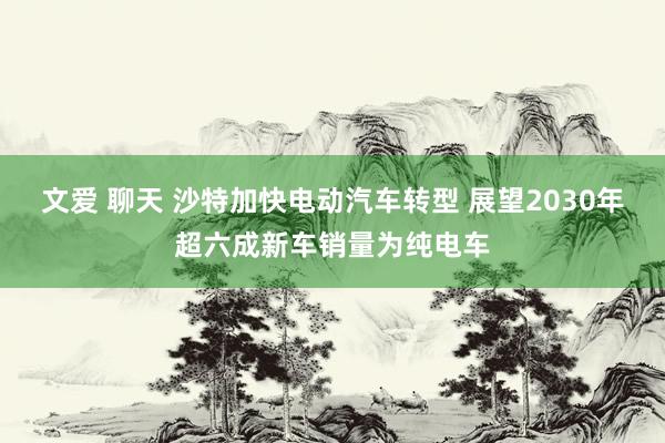 文爱 聊天 沙特加快电动汽车转型 展望2030年超六成新车销量为纯电车