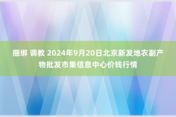 捆绑 调教 2024年9月20日北京新发地农副产物批发市集信息中心价钱行情