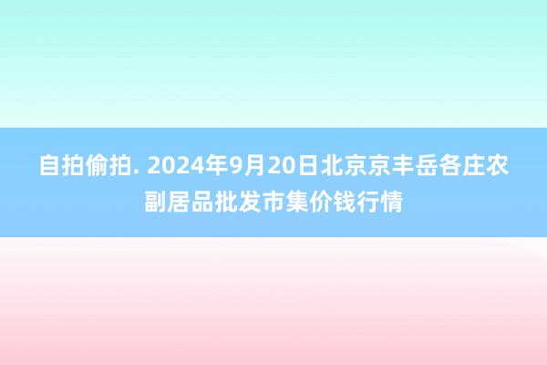 自拍偷拍. 2024年9月20日北京京丰岳各庄农副居品批发市集价钱行情