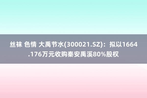 丝袜 色情 大禹节水(300021.SZ)：拟以1664.176万元收购秦安禹溪80%股权