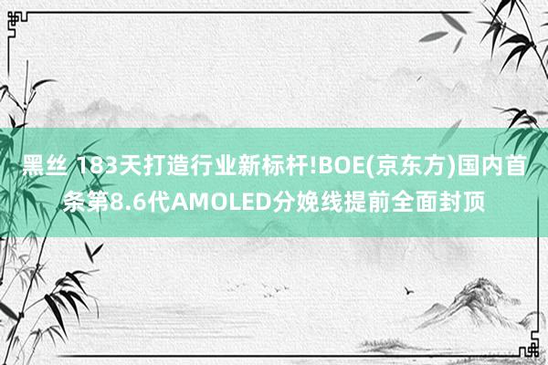 黑丝 183天打造行业新标杆!BOE(京东方)国内首条第8.6代AMOLED分娩线提前全面封顶