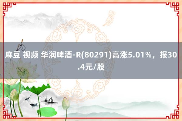 麻豆 视频 华润啤酒-R(80291)高涨5.01%，报30.4元/股