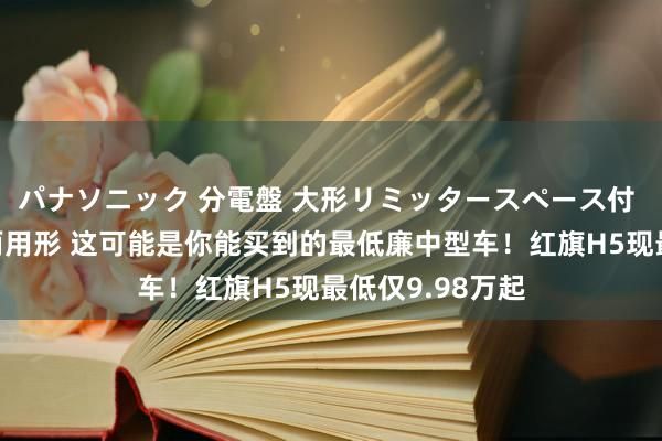 パナソニック 分電盤 大形リミッタースペース付 露出・半埋込両用形 这可能是你能买到的最低廉中型车！红旗H5现最低仅9.98万起