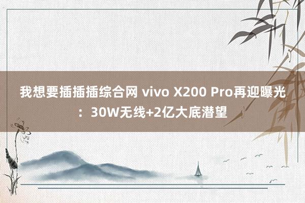 我想要插插插综合网 vivo X200 Pro再迎曝光：30W无线+2亿大底潜望