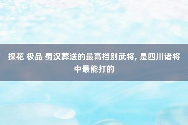 探花 极品 蜀汉葬送的最高档别武将， 是四川诸将中最能打的