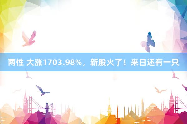 两性 大涨1703.98%，新股火了！来日还有一只