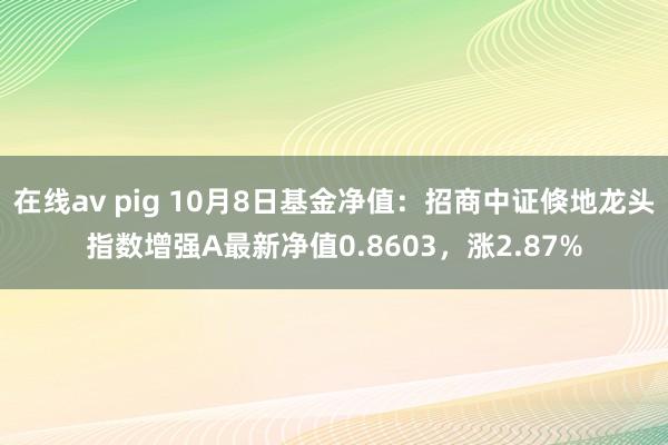 在线av pig 10月8日基金净值：招商中证倏地龙头指数增强A最新净值0.8603，涨2.87%