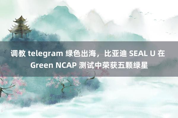 调教 telegram 绿色出海，比亚迪 SEAL U 在 Green NCAP 测试中荣获五颗绿星