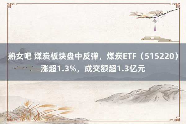 熟女吧 煤炭板块盘中反弹，煤炭ETF（515220）涨超1.3%，成交额超1.3亿元