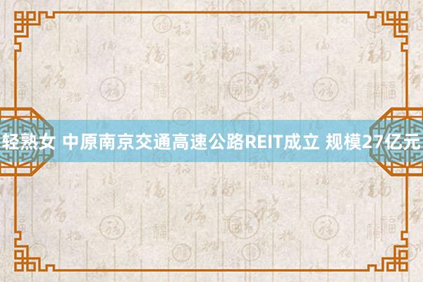 轻熟女 中原南京交通高速公路REIT成立 规模27亿元