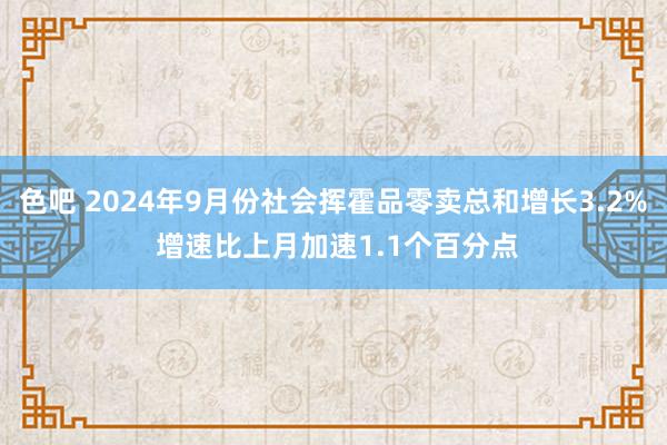 色吧 2024年9月份社会挥霍品零卖总和增长3.2% 增速比上月加速1.1个百分点