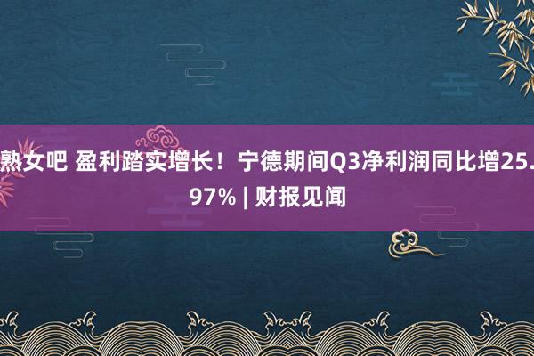 熟女吧 盈利踏实增长！宁德期间Q3净利润同比增25.97% | 财报见闻