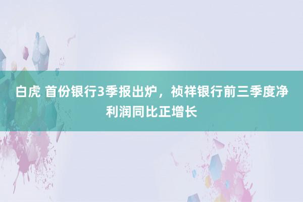 白虎 首份银行3季报出炉，祯祥银行前三季度净利润同比正增长