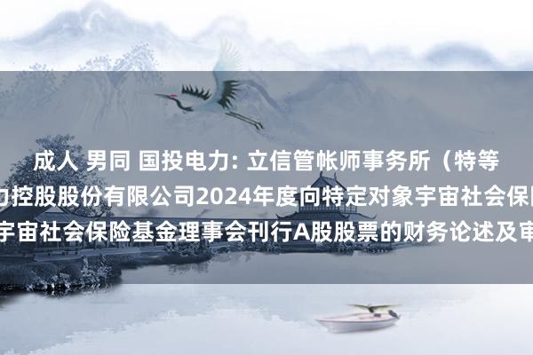 成人 男同 国投电力: 立信管帐师事务所（特等芜俚结伙）对于国投电力控股股份有限公司2024年度向特定对象宇宙社会保险基金理事会刊行A股股票的财务论述及审计论述本质选录