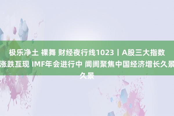 极乐净土 裸舞 财经夜行线1023丨A股三大指数涨跌互现 IMF年会进行中 阛阓聚焦中国经济增长久景