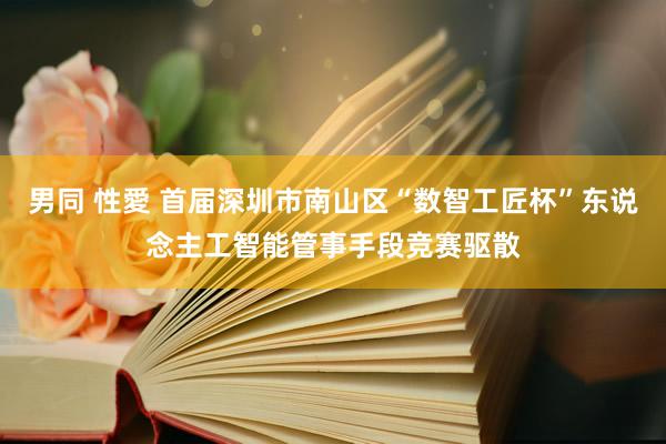 男同 性愛 首届深圳市南山区“数智工匠杯”东说念主工智能管事手段竞赛驱散