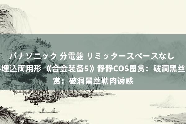 パナソニック 分電盤 リミッタースペースなし 露出・半埋込両用形 《合金装备5》静静COS图赏：破洞黑丝勒肉诱惑