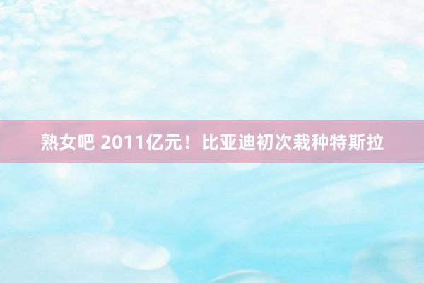 熟女吧 2011亿元！比亚迪初次栽种特斯拉