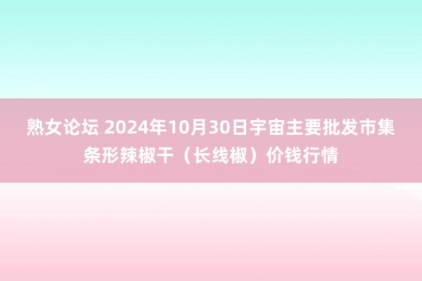 熟女论坛 2024年10月30日宇宙主要批发市集条形辣椒干（长线椒）价钱行情