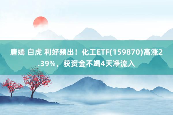 唐嫣 白虎 利好频出！化工ETF(159870)高涨2.39%，获资金不竭4天净流入