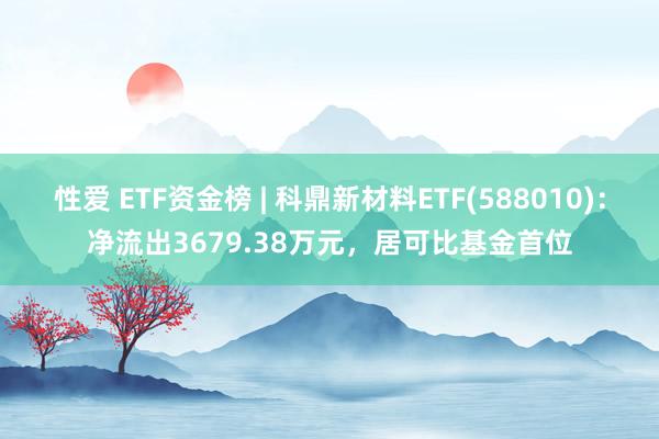 性爱 ETF资金榜 | 科鼎新材料ETF(588010)：净流出3679.38万元，居可比基金首位