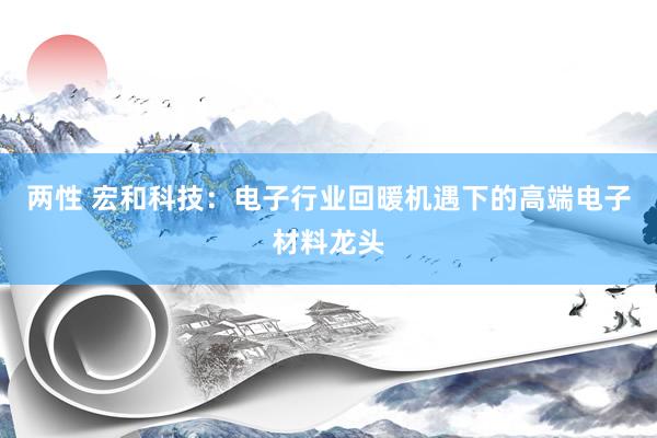 两性 宏和科技：电子行业回暖机遇下的高端电子材料龙头