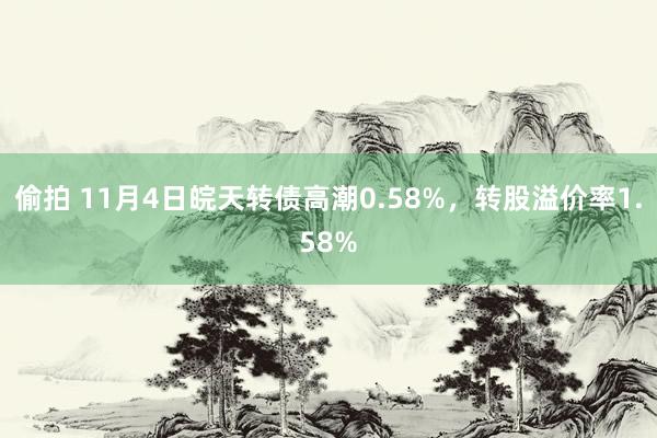 偷拍 11月4日皖天转债高潮0.58%，转股溢价率1.58%