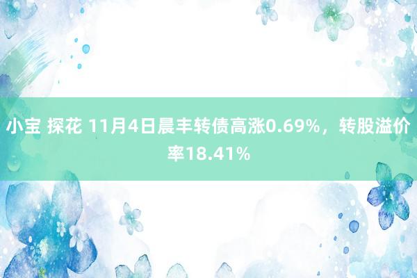 小宝 探花 11月4日晨丰转债高涨0.69%，转股溢价率18.41%