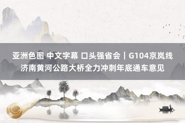 亚洲色图 中文字幕 口头强省会｜G104京岚线济南黄河公路大桥全力冲刺年底通车意见