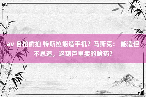 av 自拍偷拍 特斯拉能造手机？马斯克： 能造但不思造，这葫芦里卖的啥药？