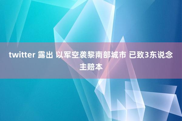 twitter 露出 以军空袭黎南部城市 已致3东说念主赔本