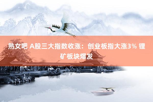 熟女吧 A股三大指数收涨：创业板指大涨3% 锂矿板块爆发