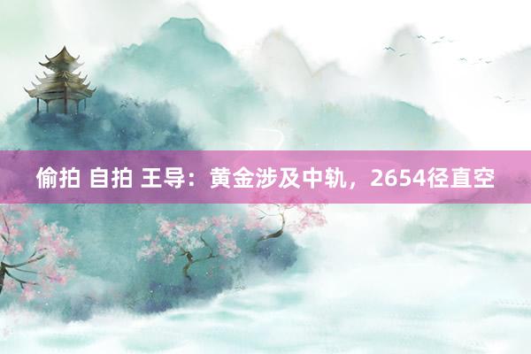 偷拍 自拍 王导：黄金涉及中轨，2654径直空