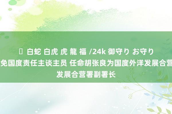 ✨白蛇 白虎 虎 龍 福 /24k 御守り お守り 国务院任免国度责任主谈主员 任命胡张良为国度外洋发展合营署副署长