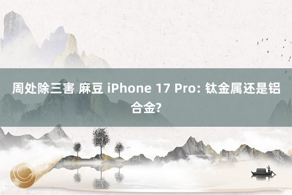 周处除三害 麻豆 iPhone 17 Pro: 钛金属还是铝合金?