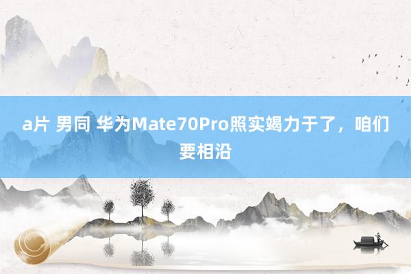 a片 男同 华为Mate70Pro照实竭力于了，咱们要相沿