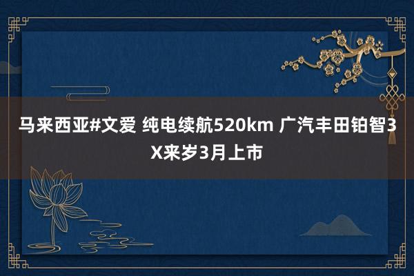 马来西亚#文爱 纯电续航520km 广汽丰田铂智3X来岁3月上市