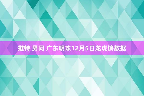 推特 男同 广东明珠12月5日龙虎榜数据