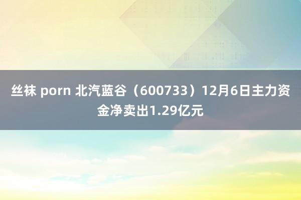 丝袜 porn 北汽蓝谷（600733）12月6日主力资金净卖出1.29亿元