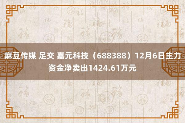 麻豆传媒 足交 嘉元科技（688388）12月6日主力资金净卖出1424.61万元